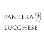 Pantera Lucchese